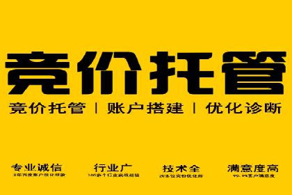 搜索引擎信息流广告的精准投放与效果提升